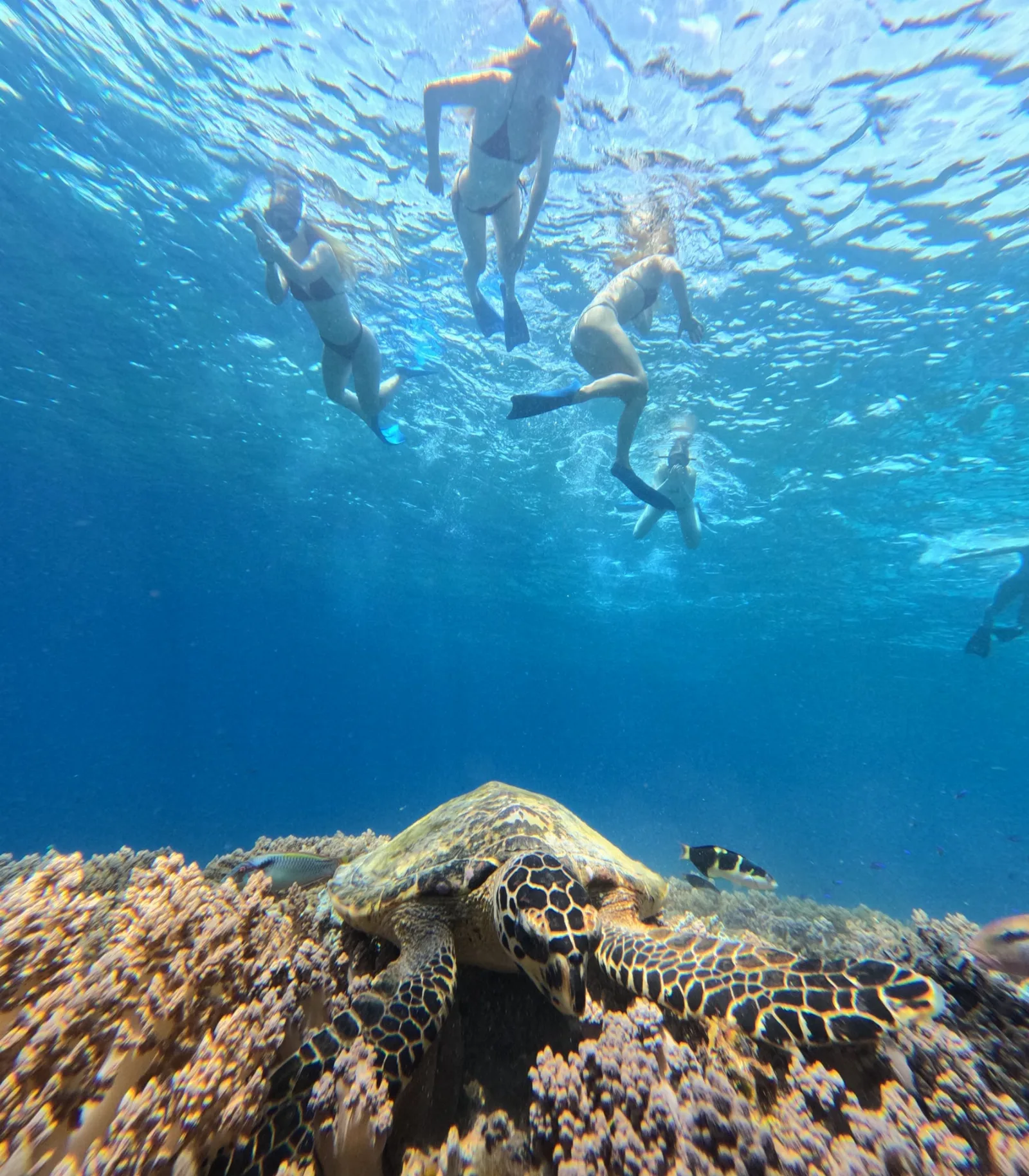 Lombok 3
